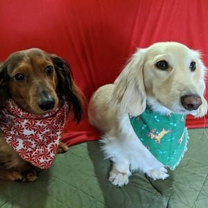 Meet your Posher, Deborah